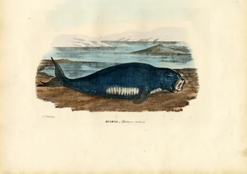 ブラッディ、1863-79